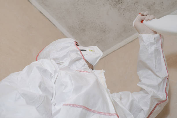Best Industrial Mold Remediation in Fruitville, FL